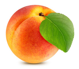 Apricot with apricot leaves isolated