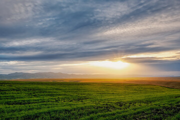 Obraz premium Sunset light among the clouds and green fields with crops in the foothills, Belokurikha