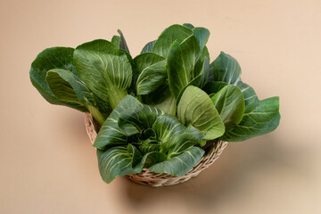 Bok choy (Pak choi) two fresh cabbages on brown background.