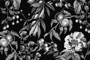 Vintage rose pattern black and white botanical and fruits illustration