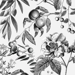 Elegant rose floral pattern black and white fruits vintage illustration