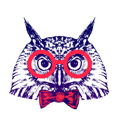 Hand drawn owl portrait with red glasses and bowtie, isolated on white, vector illlustration