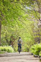 Fototapeta na wymiar 春の公園で自転車を乗っている男性の姿