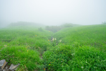 月山 山形 霊山 霊峰 出羽三山 登山 トレッキング 絶景