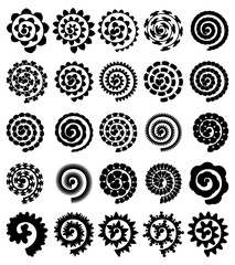 Rolled Paper Flower. Paper Cut Template Isolated on White.