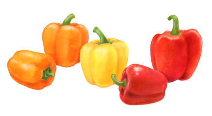 パプリカ　野菜の手描きイラスト