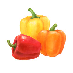 パプリカ　野菜の手描きイラスト