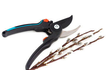 Garden pruner for pruning thin branches and stems on flowers, bushes. Isolated on white background. 
