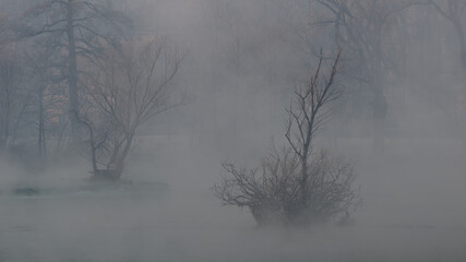 Obraz na płótnie Canvas misty morning by the river