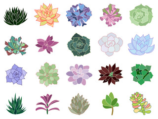 Hand drawn set icon. Succulents in flat style. Graphics sketch home desert flower. Vector illustration, isolated color elements on a white background