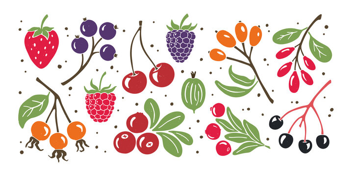 Bright and juicy berry set. Colorful illustration isolated on transparent background