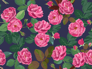 Pink peonies and roses in blossom seamless pattern