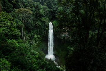 waterfall in the forest