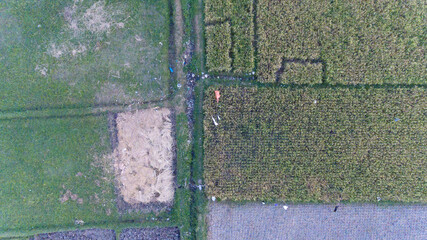 Image of beautiful Terraced rice field in water season and Irrigation from drone, Top view of rices paddy field in Java, Indonesia.