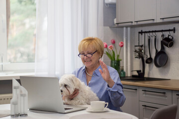 Senior Smiling Woman  with maltese dog has video chat  with grandchildren and  greeting  .  Online ...