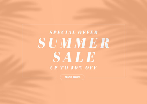Special offer summer sale banner template. Palm leaves shadow minimal design.
