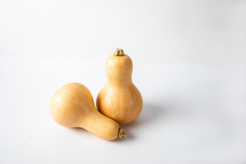 Butternut Pumpkin isolated on white background.