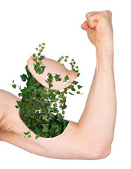 Male arm shows biceps, ivy growing out of arm - Concept of green energy