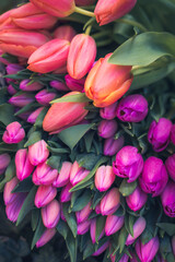 bunch of tulips