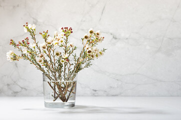 White tiny flowers on branch of bloom tree in glass in warm sun beam, modern interior with grey concrete wall, white wood table, copy space. Spring rural bouquet.