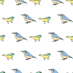 Vector white background blue red birds seamless pattern. Blue tit, Purple Finch, Seamless pattern background