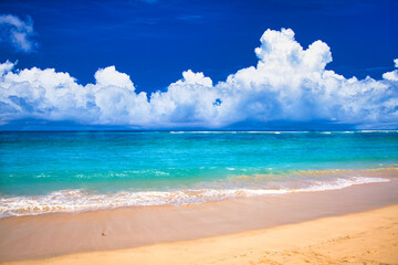 バリ島の美しいサンゴ礁の海