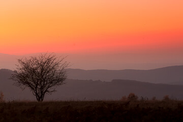 Fototapeta na wymiar Sunset over the hils with lonely tree