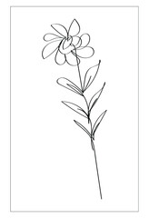 hand drawing vector one line stroke plant leaves and flowers