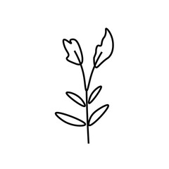 Vector minimalist plant leaf with a black line.One Summer simple hand drawn illustration on white isolated background in doodle style.Design for packaging,websites,social media,posters,postcards.