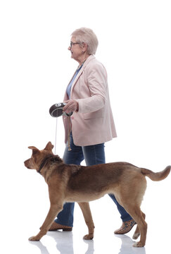 Side View . Senior Lady And Her Dog Walking Together