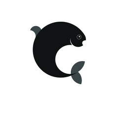 dolphin illustration