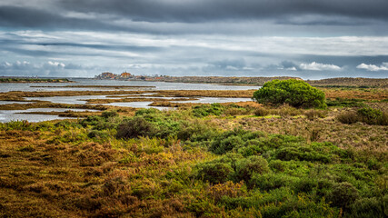 Fototapeta na wymiar Coastal Landscape Algarve