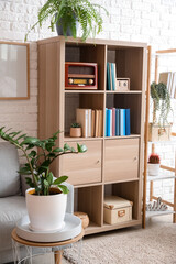 Interior of modern room with shelf units and houseplants