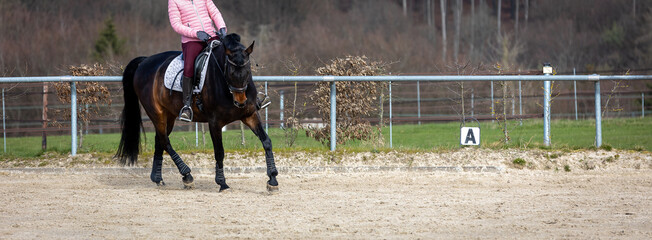 Horse dressage with rider during training on the riding arena..