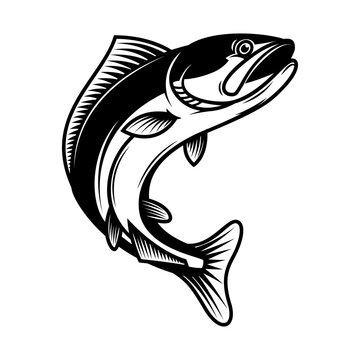 Illustration of jumping salmon fish. Design element for logo, label, sign, emblem, poster. Vector illustration