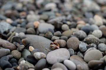 stones on the beach