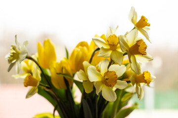 Fototapeta na wymiar bouquet of yellow daffodils