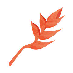 Fototapeta premium tropical heliconia plant