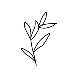 Vector minimalist plant leaf with a black line.One autumn simple hand drawn illustration on white isolated background in doodle style.Design for packaging,social media,posters,postcards.