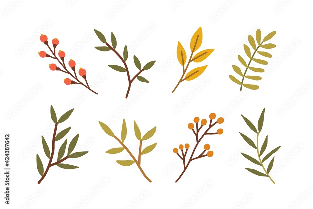 Poster set of different branches with leaves, red berries. leaf of foliage plant. collection of botanical d