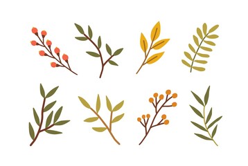 Set of different branches with leaves, red berries. Leaf of foliage plant. Collection of botanical design elements. Colored flat vector illustration of autumn herbarium isolated on white background