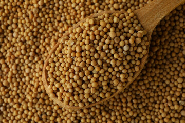 Wooden spoon and mustard seeds, close up