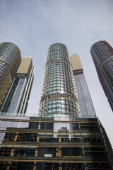 Naklejka premium Barangaroo