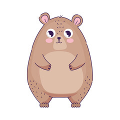 cute bear animal