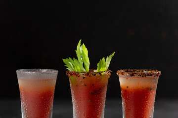 Bloody Mary alcoholic cocktail with vodka and tomato juice