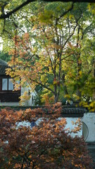 The beautiful and old Chinese garden view with the traditional designation