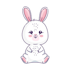 cute rabbit animal