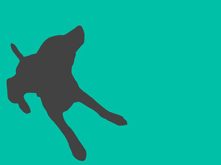 Black nut shadow with green background © paew