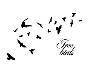 A flock of flying birds. Vector illustration