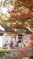 The beautiful and old Chinese garden view with the traditional designation